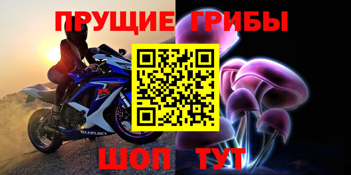 Галлюциногенные грибы Psilocybe Горячий Ключ